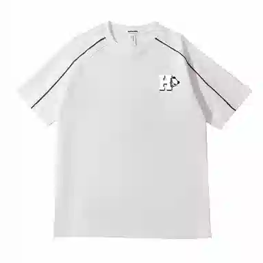 HIPANDA T