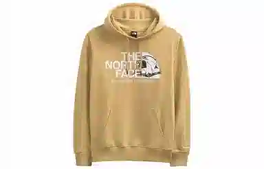 THE NORTH FACE Logo Play Pullover Logo