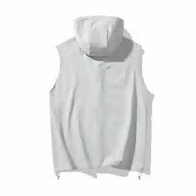 GOOSELIAR