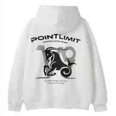 POINTLIMIT Logo