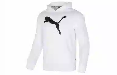 PUMA CF Big Cat Logo Hoodie