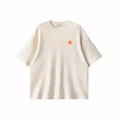 WILLIAM FOXSONS T