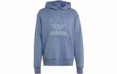 adidas originals Adicolor Outline Hoodie Logo