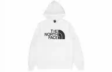 THE NORTH FACE Half Dome Pullover Logo