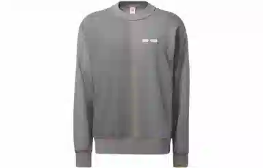 Reebok x Randomevent Grey Pullover