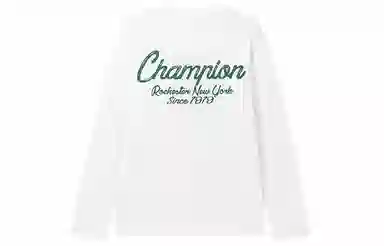 Champion FW24 BASIC T