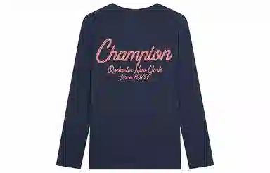 Champion FW24 BASIC T