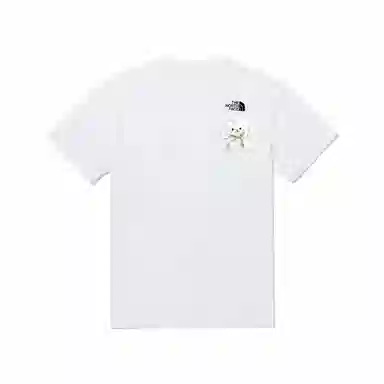 THE NORTH FACE T
