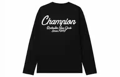 Champion FW24 BASIC T