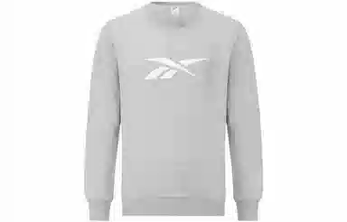 Reebok Classic Logo Crewneck Sweatshirt Grey