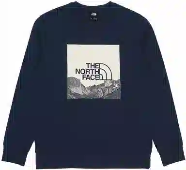 THE NORTH FACE Logo