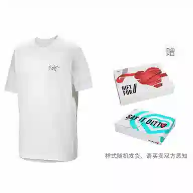 Arcteryx Multi Bird Logo Ss Logo T