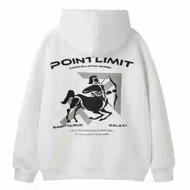 POINTLIMIT Logo