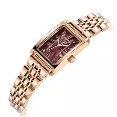 JULIUS JL 30 JW1-252B