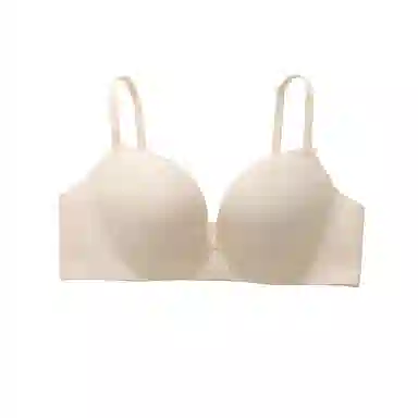 黛尔佳人 提拉无钢圈小胸聚拢文胸 女款