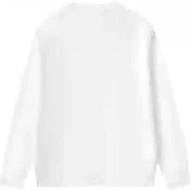 大白鲨 稻穗刺绣圆领时尚长袖卫衣 男款