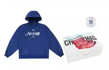 ADER ERROR FW22 Printed Hoodie Blue