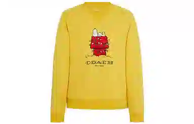 COACH x PEANUTS SNOOPY LIGHTS