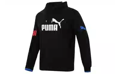PUMA Power Colorblock Hoodie