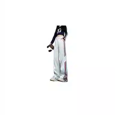 METE WHALE MT