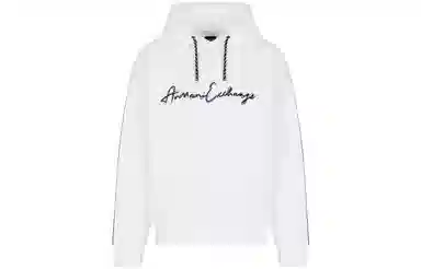 Armani Exchange FW23 Colorblock Logo Hoodie