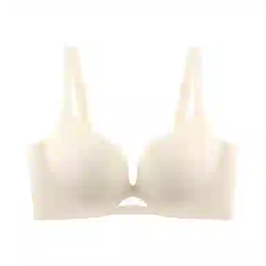 黛尔佳人 大胸显小薄款聚拢上托防下垂无钢圈文胸 女款
