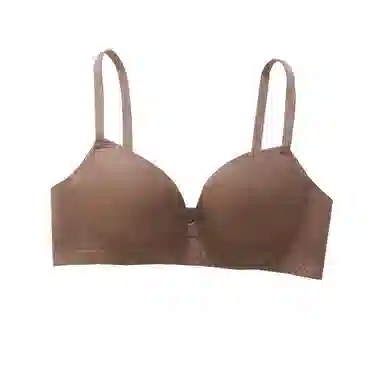 黛尔佳人 提拉无钢圈小胸聚拢文胸 女款