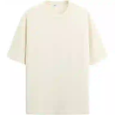 ZARA T