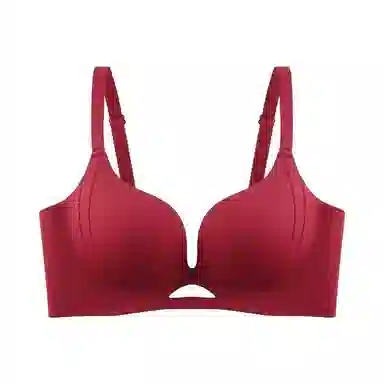 黛尔佳人 大胸显小薄款聚拢上托防下垂无钢圈文胸 女款