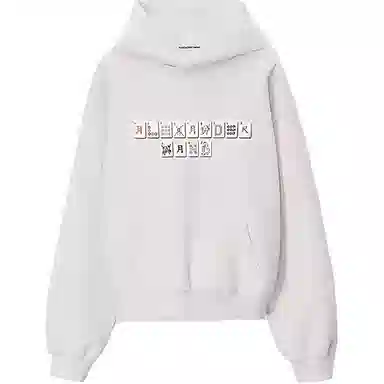 Alexander Wang FW23 Hoodie Heather Grey