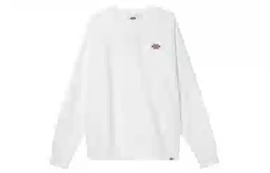 Dickies FW22 Logo