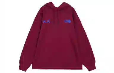 THE NORTH FACE x KAWS Logo