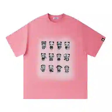 HIPANDA T