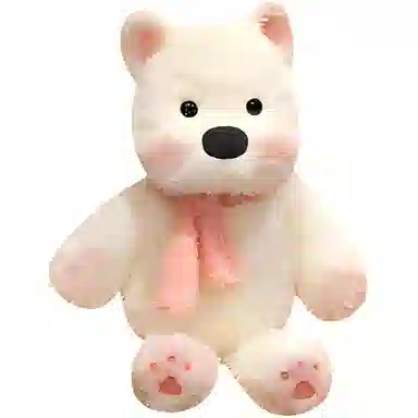 30cm50cm