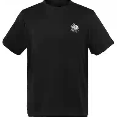 THE NORTH FACE logoT