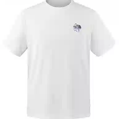 THE NORTH FACE logoT