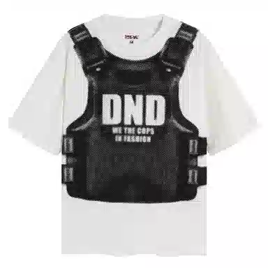 DND4DES 260gT