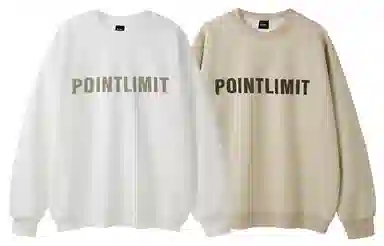 POINTLIMIT Logo 2