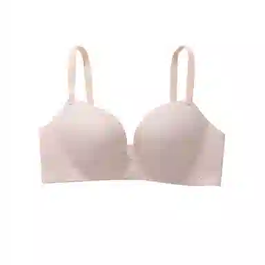 黛尔佳人 提拉无钢圈小胸聚拢文胸 女款