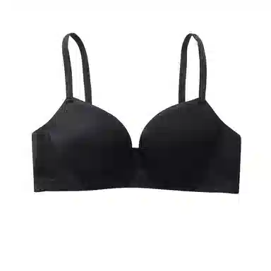 黛尔佳人 提拉无钢圈小胸聚拢文胸 女款