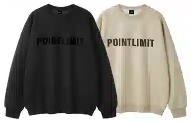 POINTLIMIT Logo 2