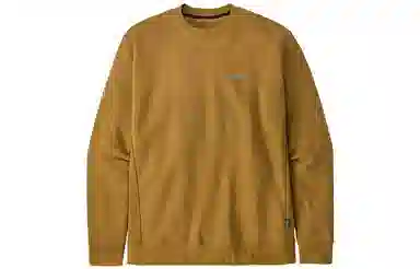 patagonia Fitz Roy Icon Uprisal Crew