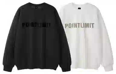 POINTLIMIT Logo 2