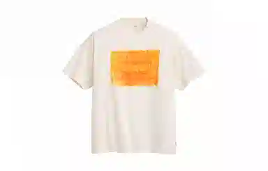 levis SS24 501DAY T