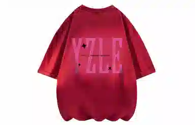 YZ logoT