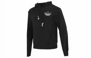 adidas originals Adicolor Hoody Logo