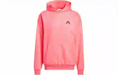 adidas originals Ae Foundation Hoodie