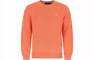 Polo Ralph Lauren Logo