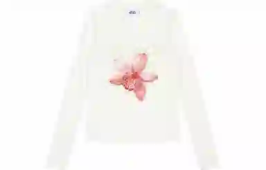 MostwantedLab T