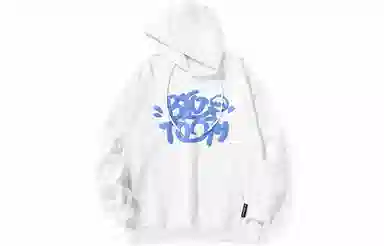 bt Hoodie